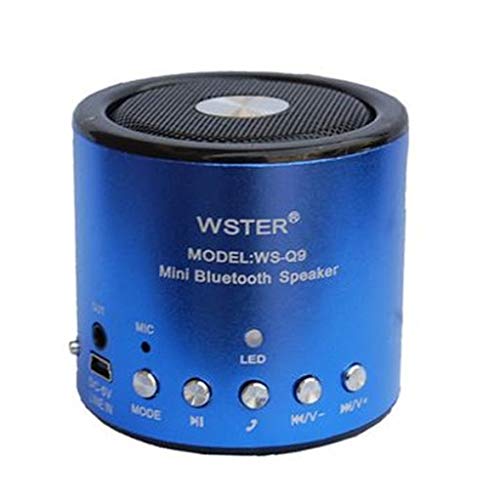 Bluetooth Autodyne mobilais skaļrunis WS-Q9 ar TF karti un USB kameru