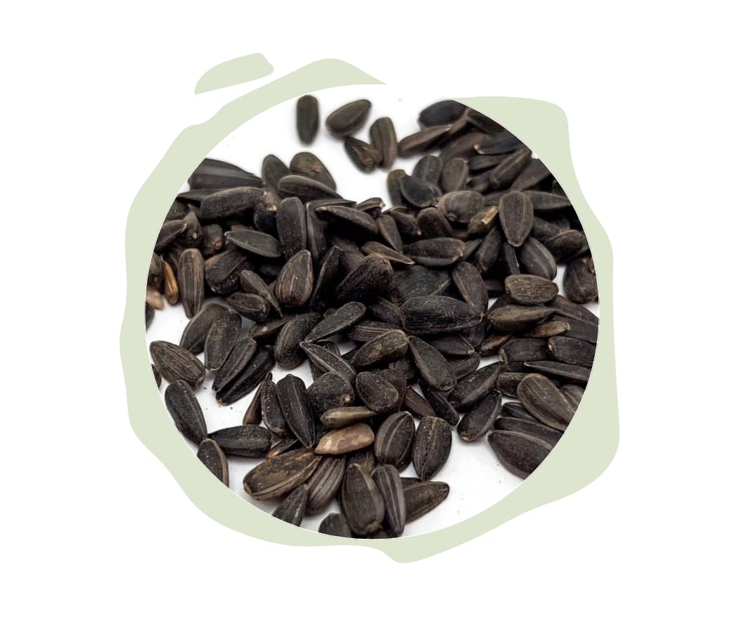 Putnu barība Warnick's saulespuķu sēklas melnās - 20 L