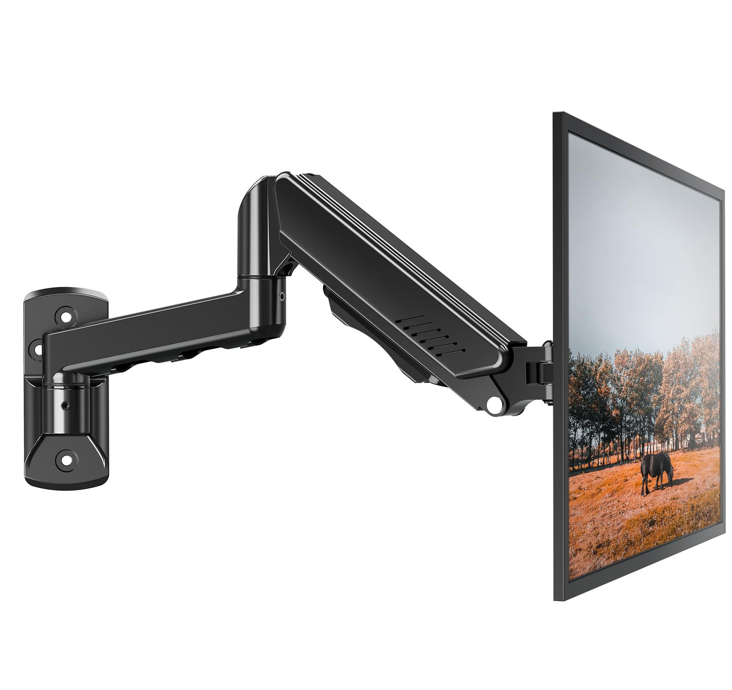 Monitora sienas stiprinājums ELIVED 13-32 collām, līdz 9kg, VESA 75x75mm un 100x100mm
