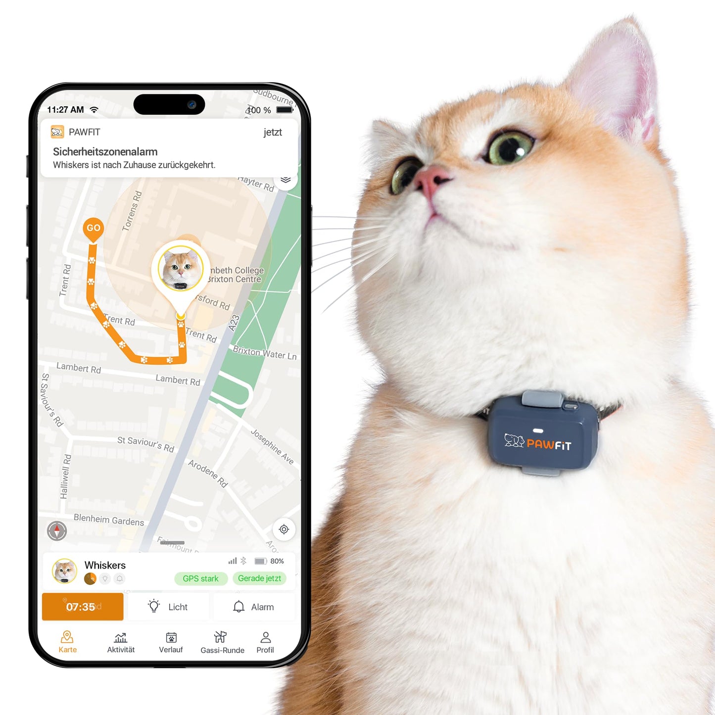 GPS izsekotājs kaķiem Pawfit Lite 4G | reāllaika atrašanās vietas noteikšana | aktivitātes uzraudzība | atrašanās vietu vēsture | neierobežots darbības rādiuss | drošības kaklasiksna iekļauta | ogļu pelēks