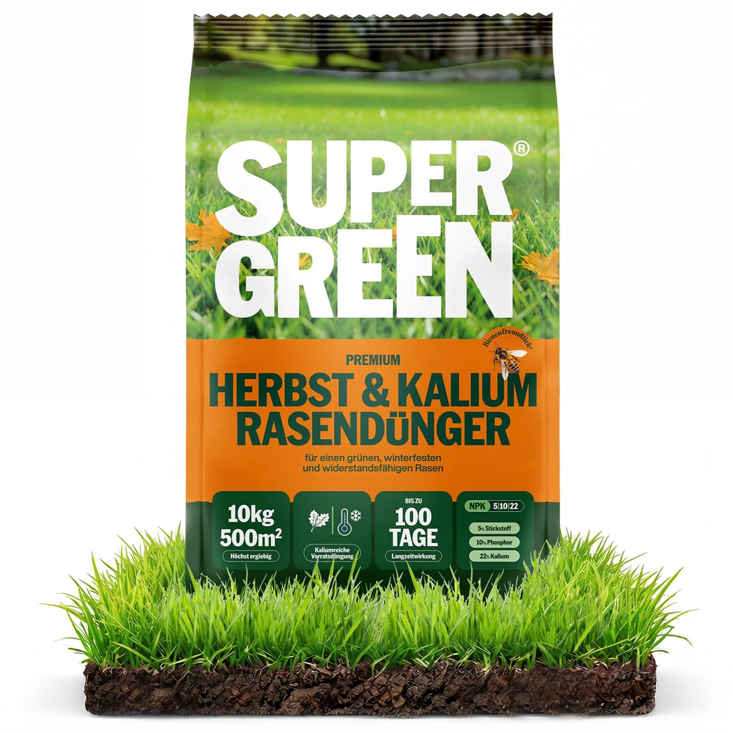 Rudens un kālija zāliena mēslojums SUPERGREEN, ilgstošas iedarbības līdz 100 dienām | 10 kg līdz 500m² | NPK 5-10-22 ziemcietīgam zālienam | Palielina salizturību un šūnu struktūru | Bez nitrātiem, granulas (2-5 mm)
