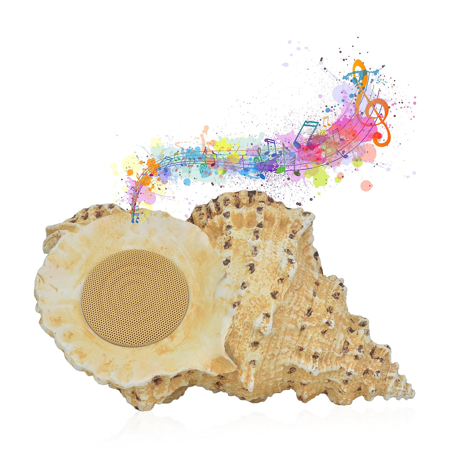 LEICKE jūras čaulas Bluetooth dušas skaļrunis, konha bezvadu skaļrunis, putekļu/tvaika/ūdensizturīgs dušas skaļrunis | Mazs portatīvs bezvadu skaļrunis vannas istabai, pludmalei, saunai utt.