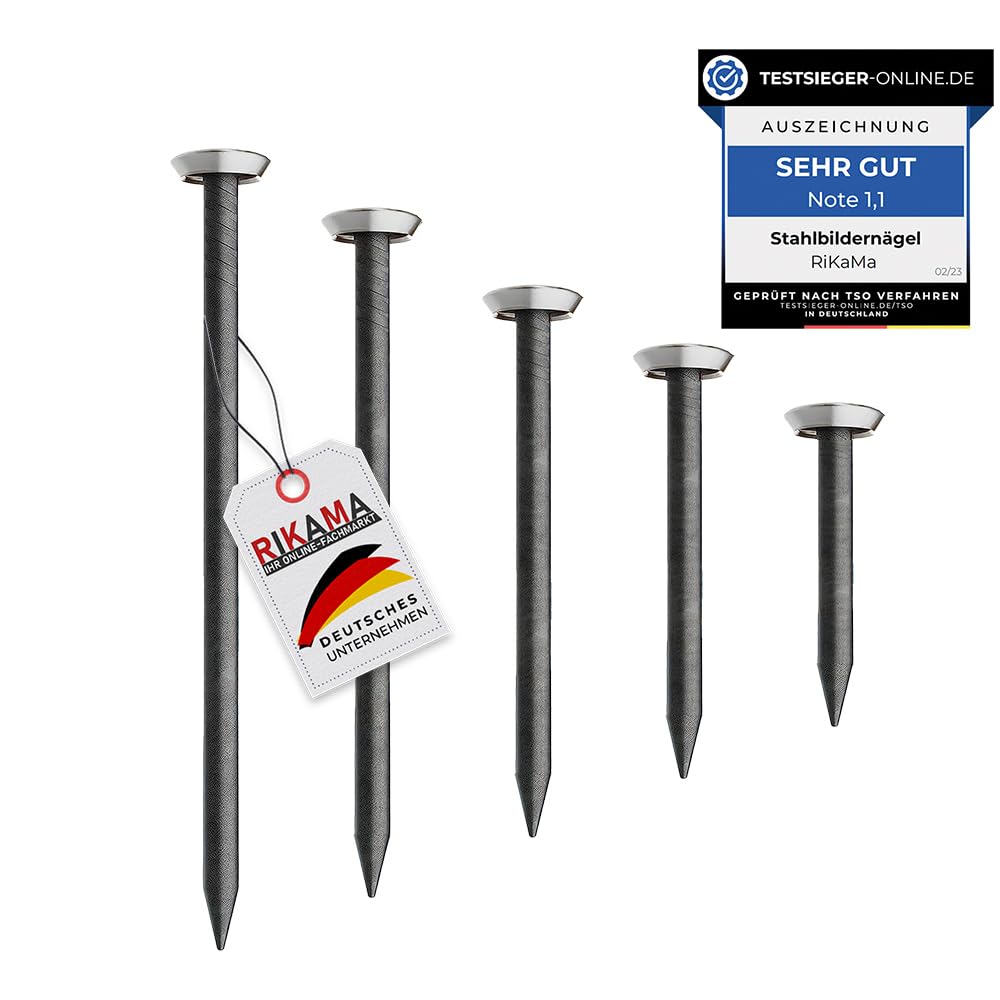 Attēlu naglas RIKAMA® – 50 gab. maisījums 10 x 20mm, 25mm, 30mm, 40mm, 50mm – tērauda naglas betonam, ķieģelim, apmetumam un kokam – Made in Europe (sudraba galva)