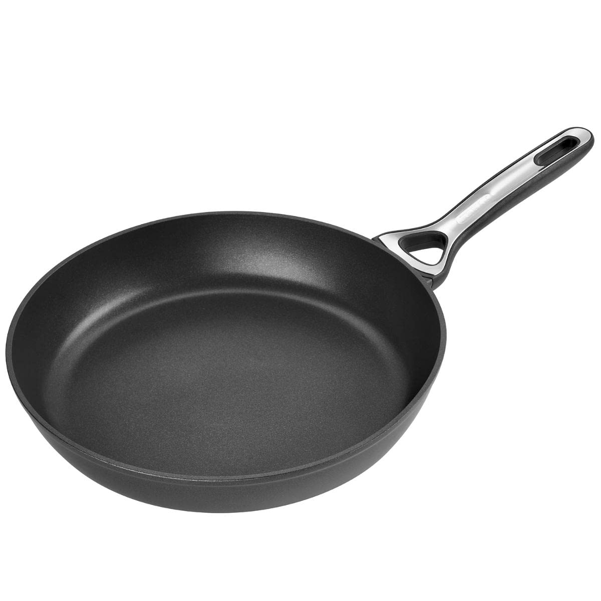 Pyrex Waterpik WP - Black, 30 cm diameter, durable design for effective water flossing.