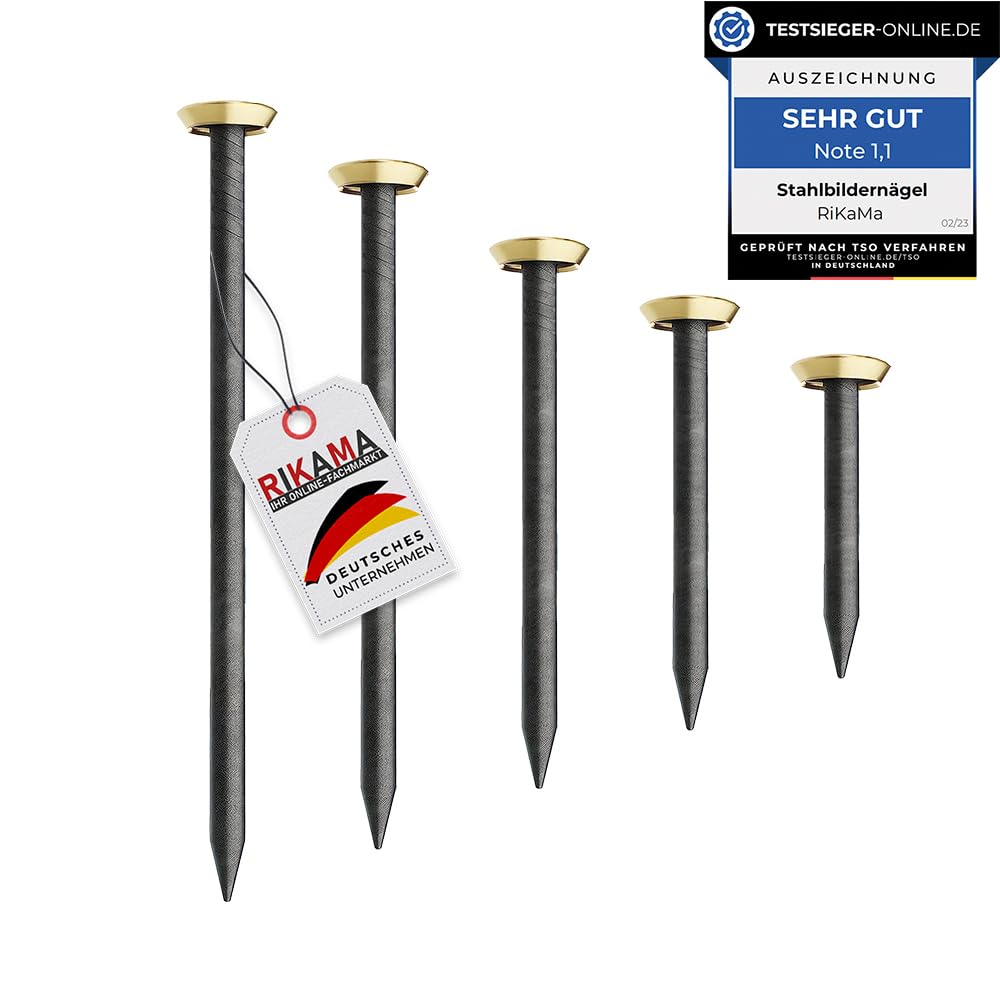 RIKAMA® – 100 bildeņu naglas – tērauda naglas betonam, ķieģeļiem, apmetumam un kokam – rūdīta tērauda naglas attēlu piekāršanai – Made in Germany (Gold ar turētāju, 100er Mix)