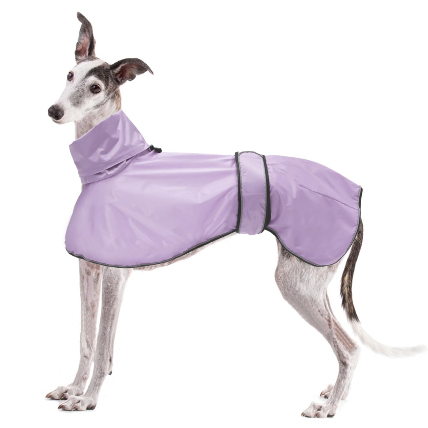 Suņu lietusmētelis Geyecete vēja suņiem, viegla ūdensnecaurlaidīga suņu jaka, regulējama vēja suņu lietus jaka, atstarojošs pončo Greyhounds, Lurcher un Whippets, violeta, XXL