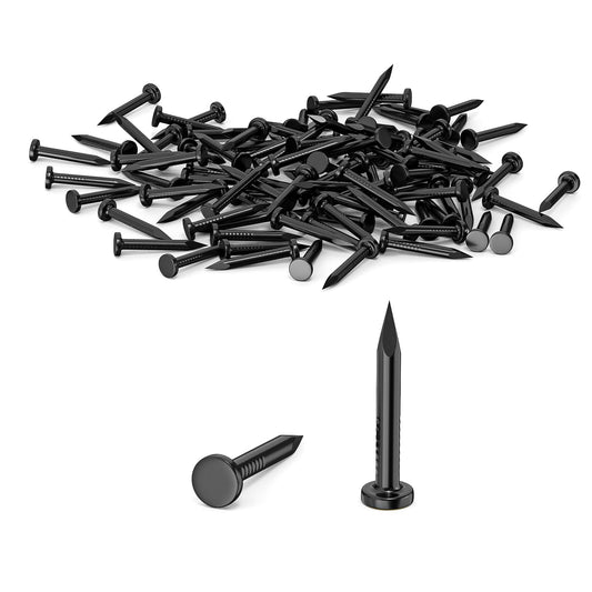 Tērauda naglas ORTAVA 100 gab., 20mm, rūdītas naglas