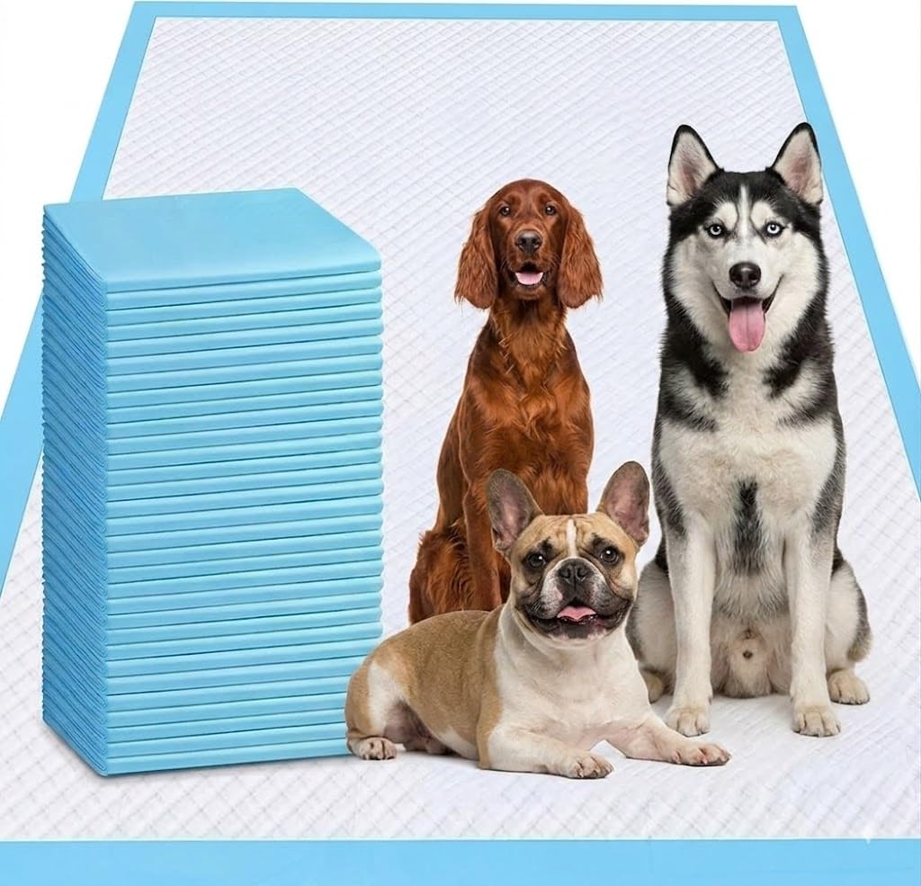 XXXXL kucēnu urīna paladziņi suņiem, 78,7 x 119,4 cm, 40 gab., īpaši lieli suņu paladziņi, necaurlaidīgi un īpaši uzsūcoši suņu paladziņi, biezi vienreizlietojami tualetes paladziņi, kucēnu apmācības paladziņi