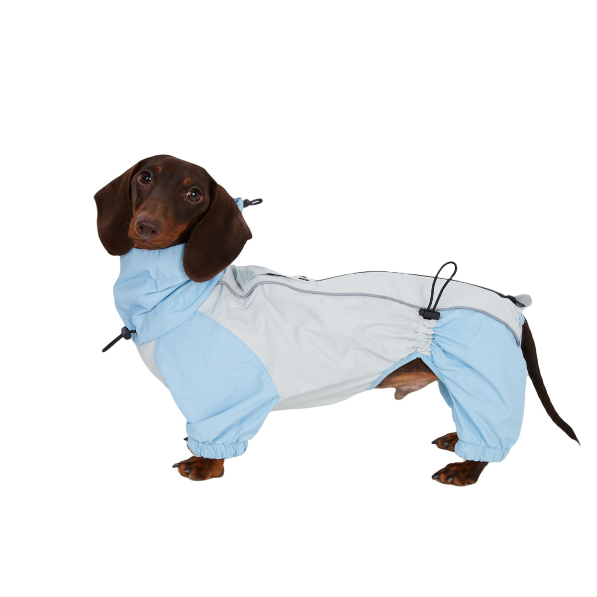 Dakterjera lietusmētelis, ūdensizturīga 4 kāju suņu jaka, viegla āra vējjaka mini dakterjeram, M(6-8kg)