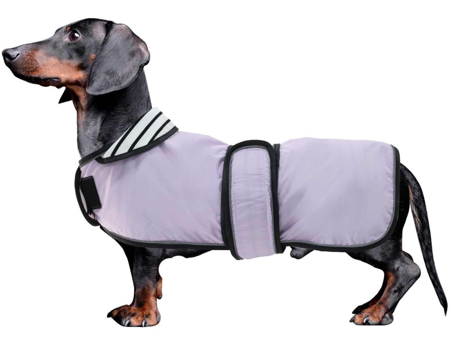 Suņu lietusmētelis MOREZI ar atstarojošām svītrām, ūdensnecaurlaidīgs, regulējama veste maziem un vidējiem suņiem, takšiem, violets, XS
