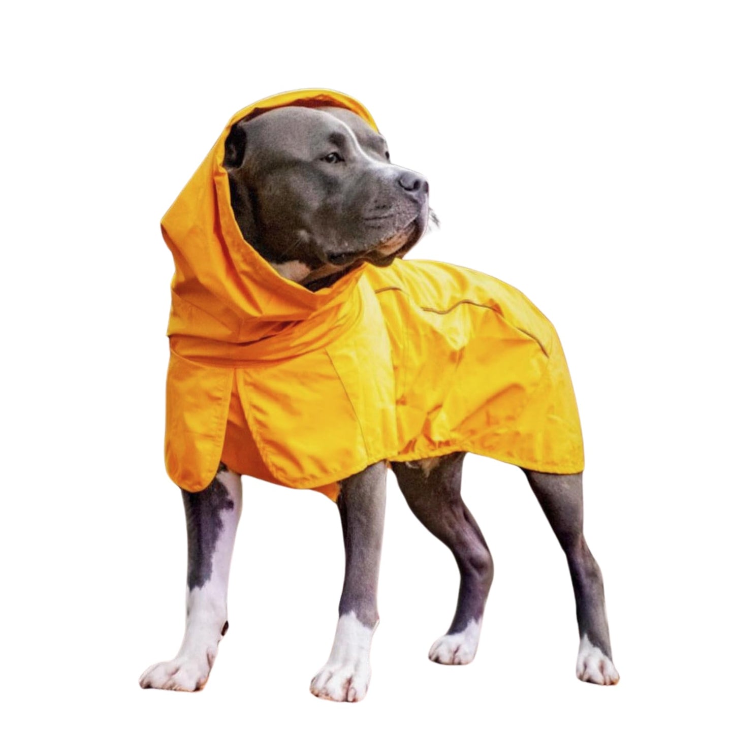 Suņu lietusmētelis Spark Paws, ūdensnecaurlaidīga un vēja necaurlaidīga lietus jaka