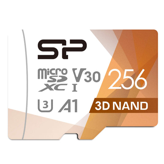 AV PRO microSD V60 256 GB