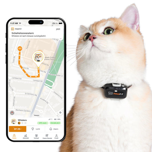 4G GPS izsekotājs kaķiem Pawfit Lite, īpaši kompakts <18g, reāllaika izsekošana un aktivitātes uzraudzība, atrašanās vietas vēsture, drošības kaklasiksna komplektā, ONYXSCHWARZ