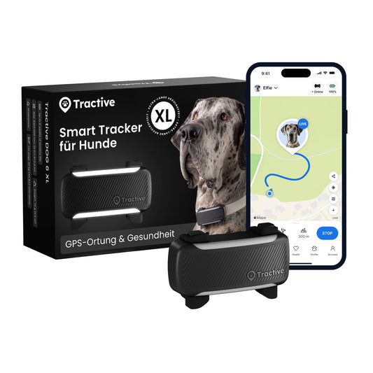 GPS trakeris suņiem Tractive XL | Modelis 2026 | Tiešraides GPS atrašanās vieta | Aizbēgšanas brīdinājums un veselības paziņojumi | Vitālo rādītāju uzraudzība | Ilgs akumulatora darbības laiks | Ieteicis Martin Rütter (Melns)
