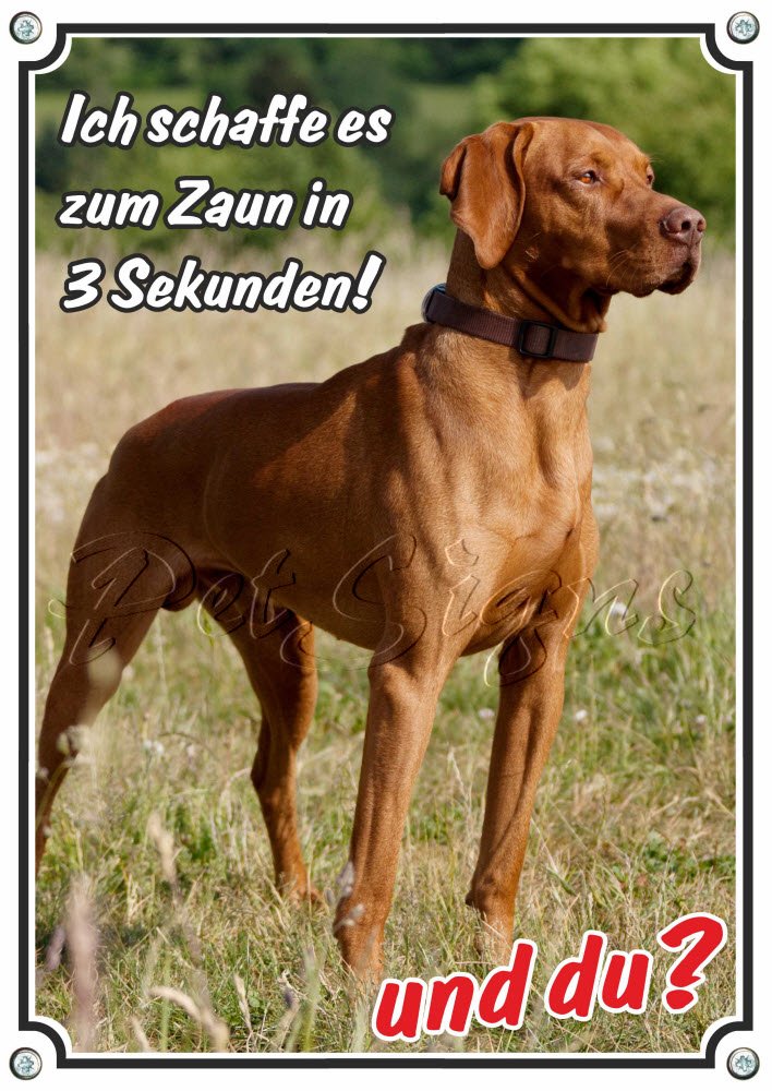 Suņa zīme Petsigns Magyar Vizsla, augstas kvalitātes alumīnija plāksne, izturīga pret laikapstākļiem, UV noturīga, DIN A5