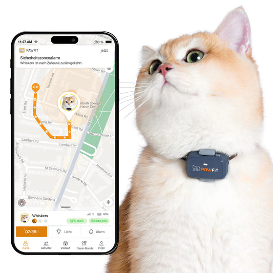GPS izsekotājs kaķiem Pawfit Lite 4G | reāllaika atrašanās vietas noteikšana | aktivitātes uzraudzība | atrašanās vietu vēsture | neierobežots darbības rādiuss | drošības kaklasiksna iekļauta | ogļu pelēks