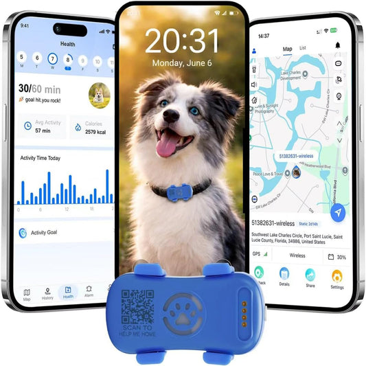 GPS mājdzīvnieku sekotājs 4G suņiem, mazs un viegls suņiem un kaķiem
