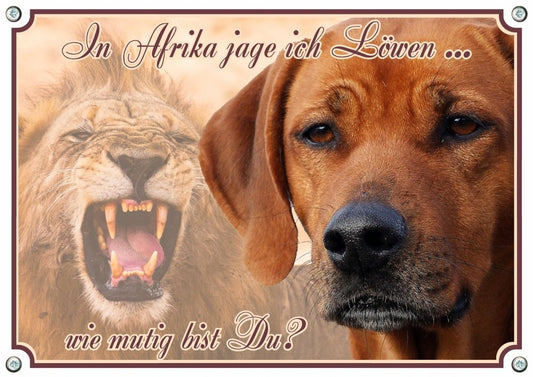 Suņa zīme Petsigns Rhodesian Ridgeback - metāla zīme - brīdinājuma zīme, pasūtāma līdz DIN A3, DIN A4