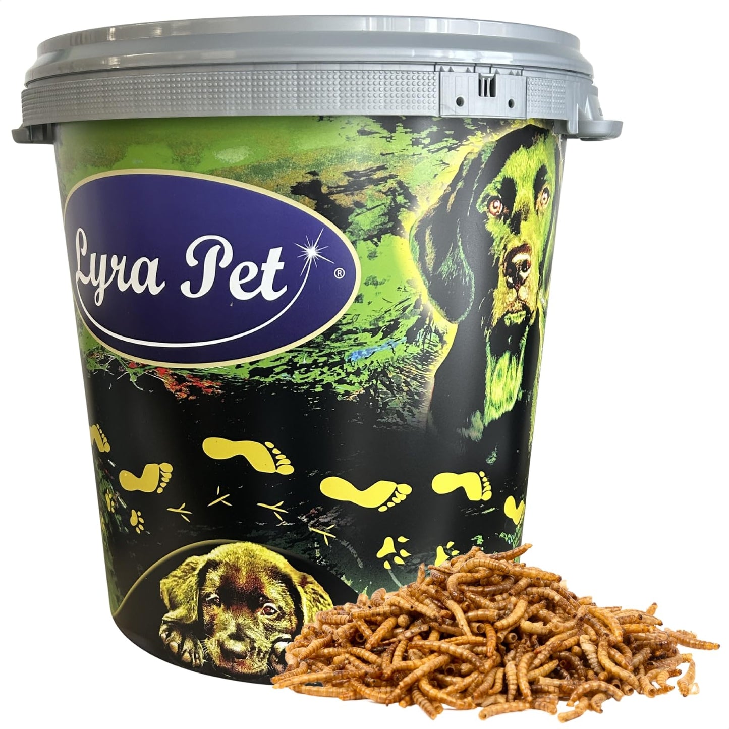 Žāvēti miltu tārpi Lyra Pet®, 5 kg, 30 L tvertnē, augstākā kvalitāte