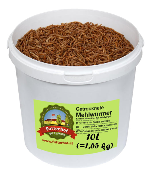 Kaltēti miltu tārpi Futterhof 10 L spainis (= 1,65 kg), augstākās kvalitātes