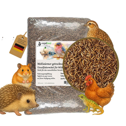 Kaltēti miltu tārpi 5 kg putniem, zivīm, grauzējiem, rāpuļiem un ežiem Samore