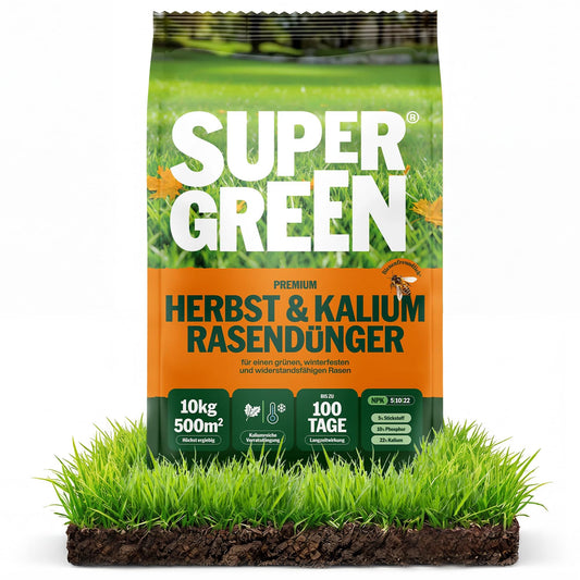 Rudens un kālija zāliena mēslojums SUPERGREEN, ilgstošas iedarbības līdz 100 dienām | 10 kg līdz 500m² | NPK 5-10-22 ziemcietīgam zālienam | Palielina salizturību un šūnu struktūru | Bez nitrātiem, granulas (2-5 mm)